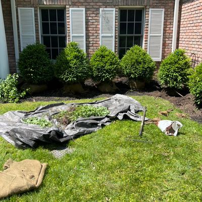 Avatar for Luis Mc Landscaping