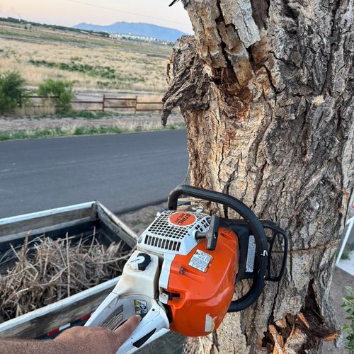 505tree services Profile Picture