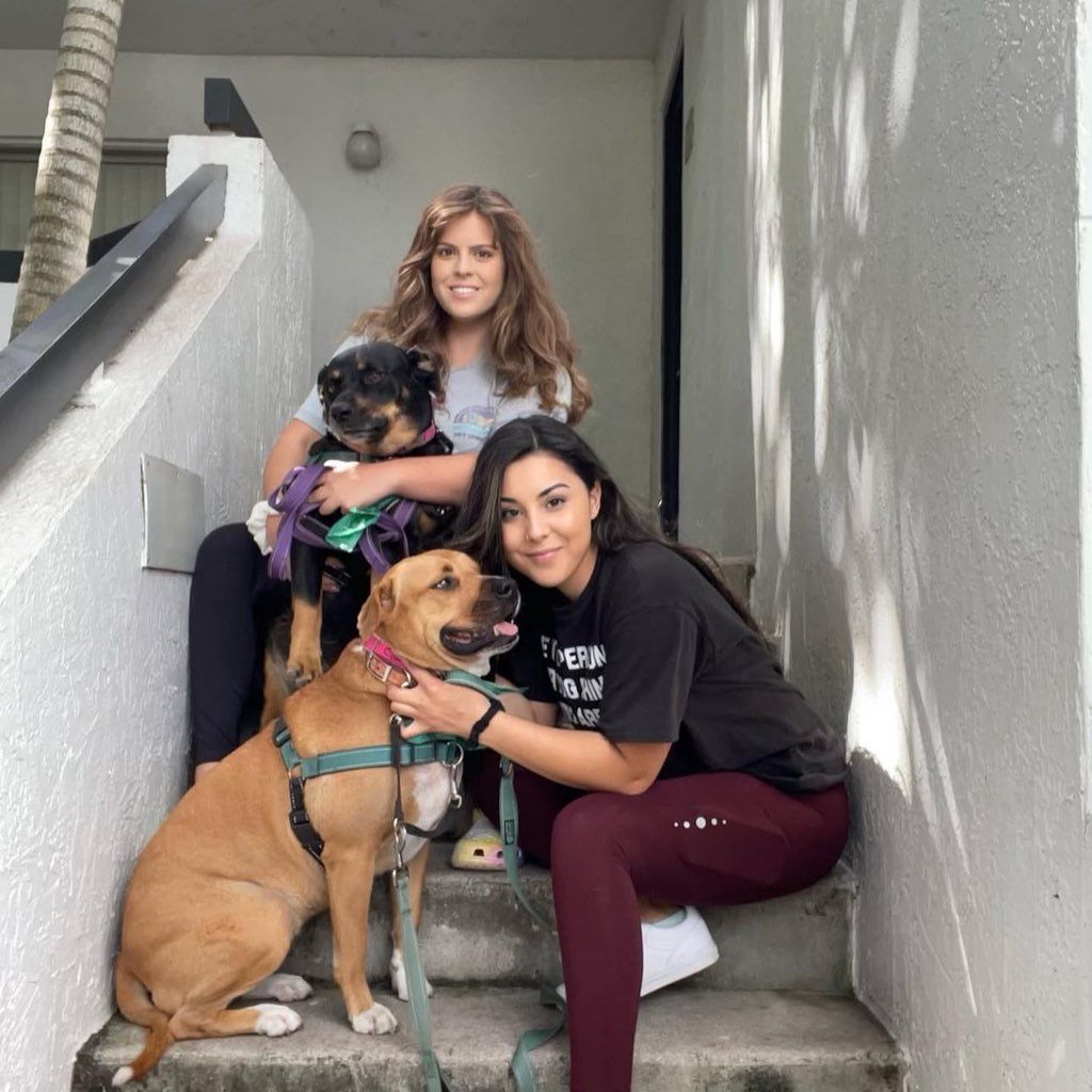 Ohana pet services