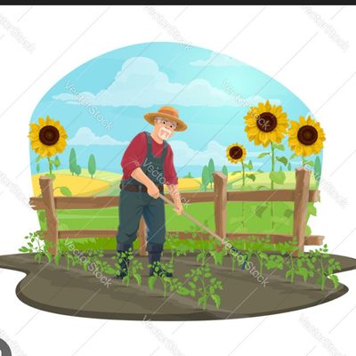 Avatar for Karims weeding