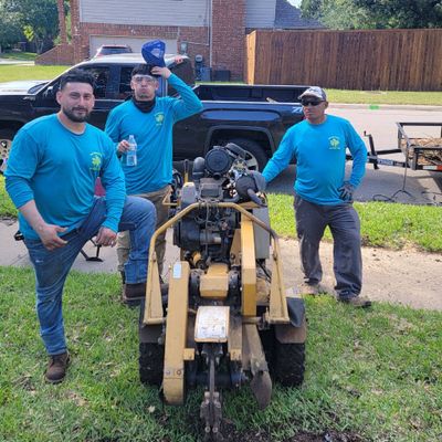 Avatar for Gio Tree Service