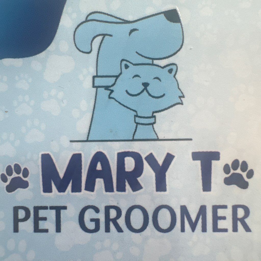 Mary t groomer