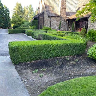 Avatar for Ed’s Landscaping