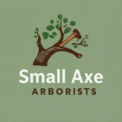 Avatar for Small Axe Arborists