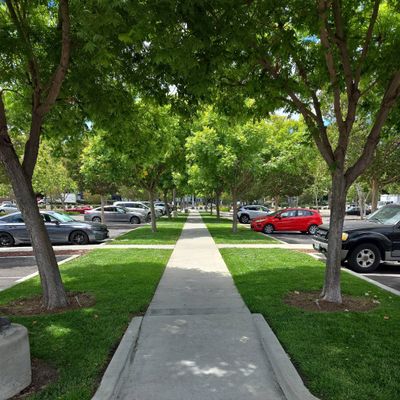 Avatar for gomez Landscape services