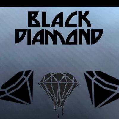 Avatar for Black Diamond Properties LLC