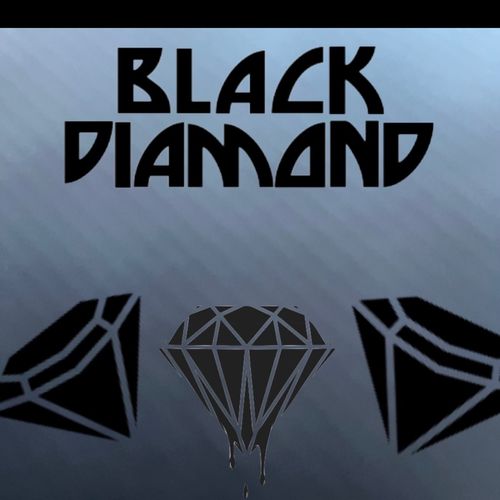 Black Diamond Properties LLC