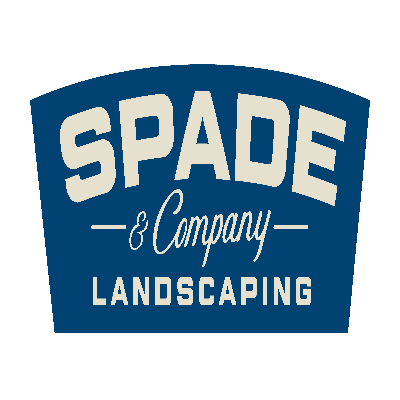 Avatar for Spade and Company LLC