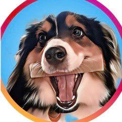 Fur Babies Pet Sitting by Mikayla, LLC