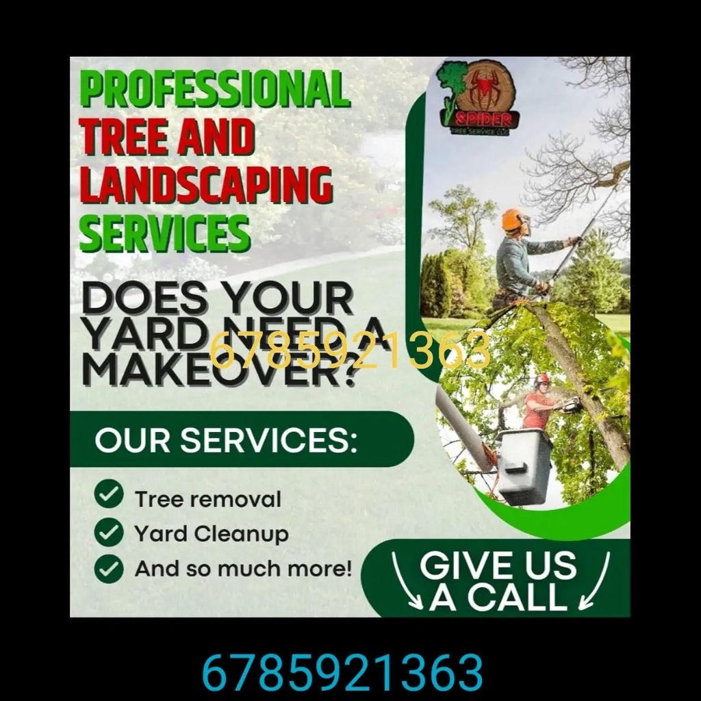 Spider Tree Service