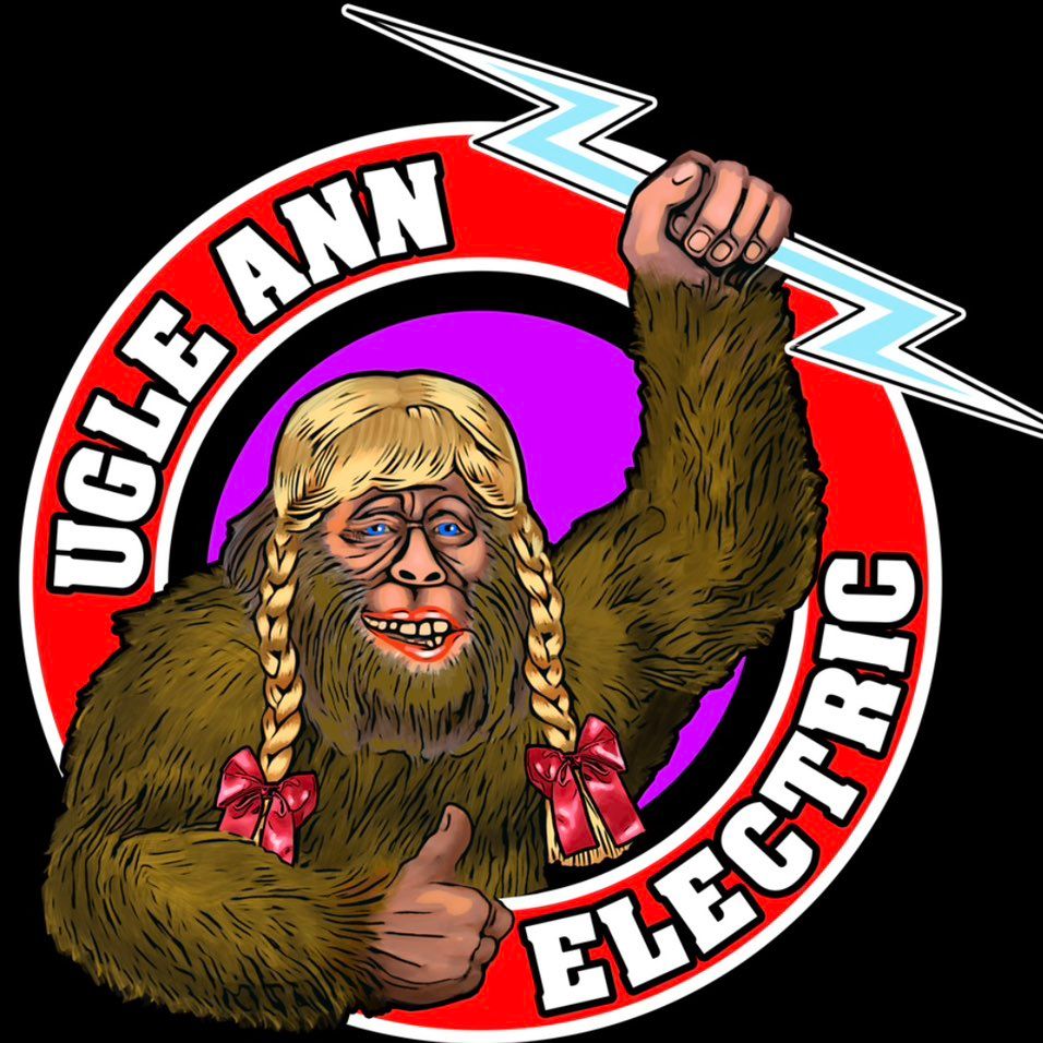 Ugle Ann Electric LLC