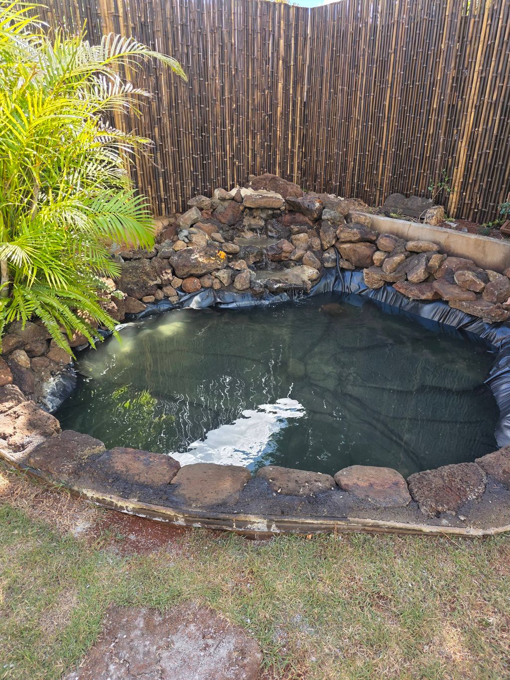 fishpond