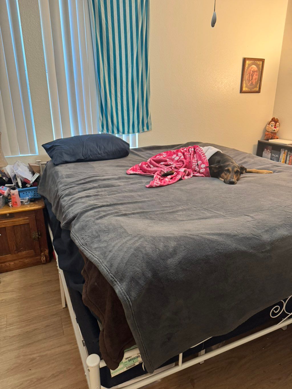 Customer photos