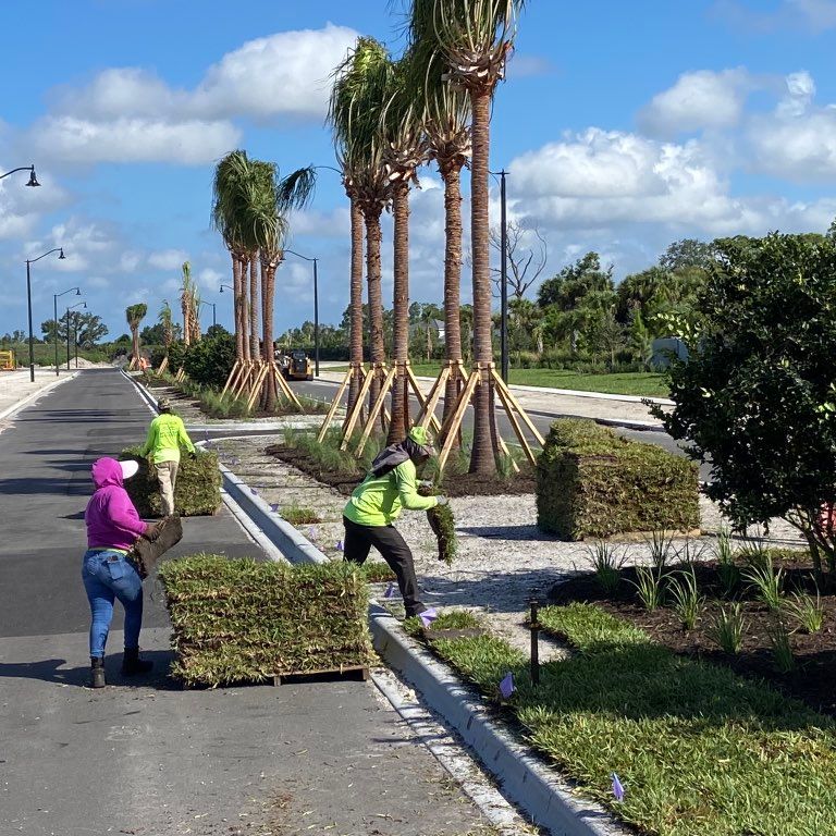 González Lawn care and lawn maintenance