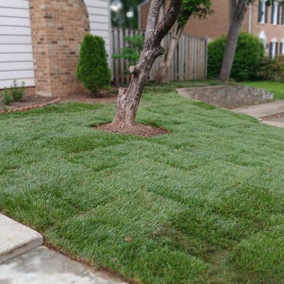 Avatar for Green Service Landscaping