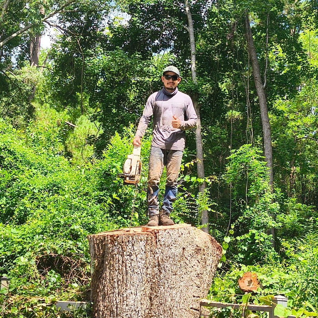 DIAZ LANDSCAPES LLC