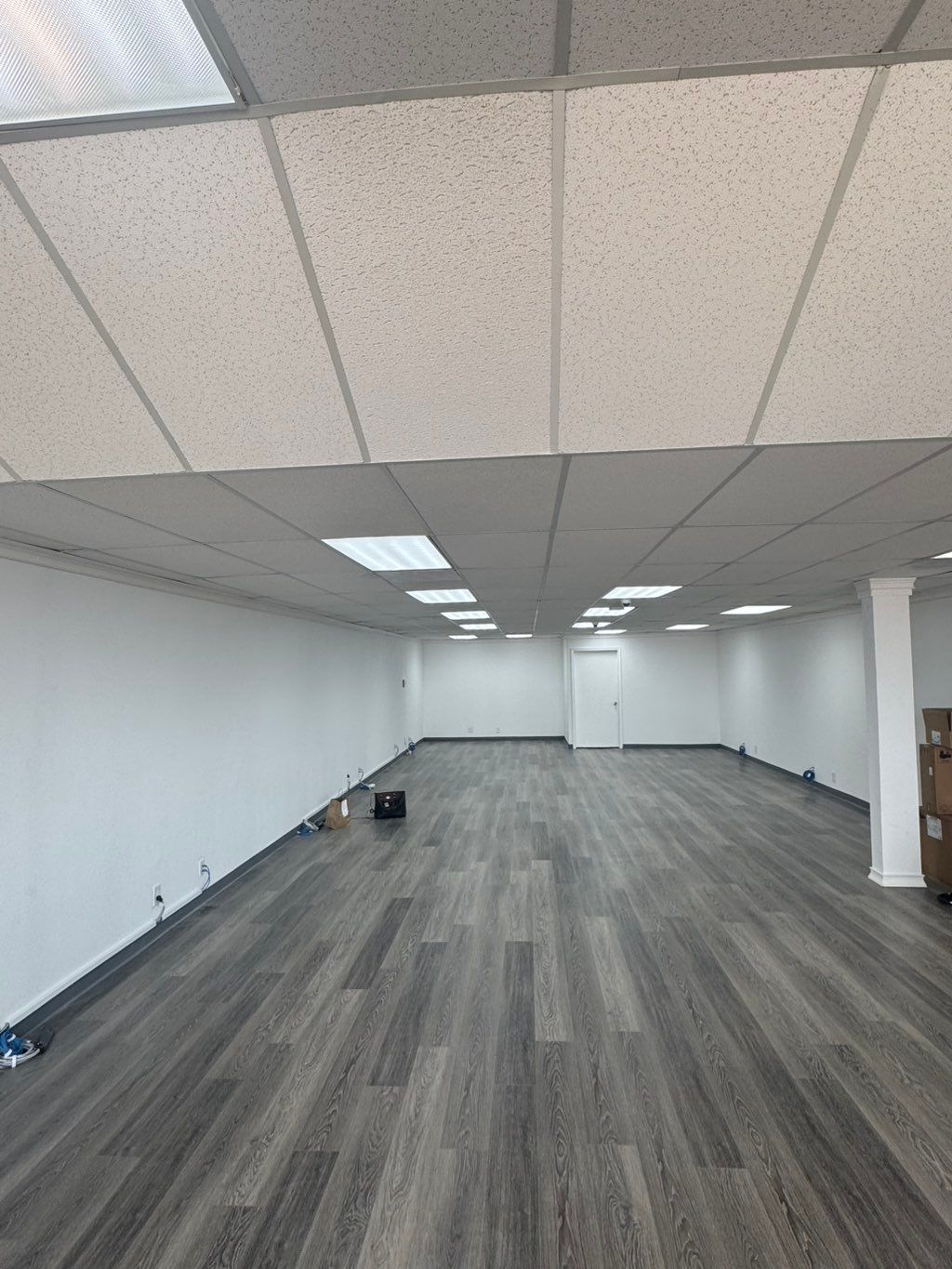 Projects and media