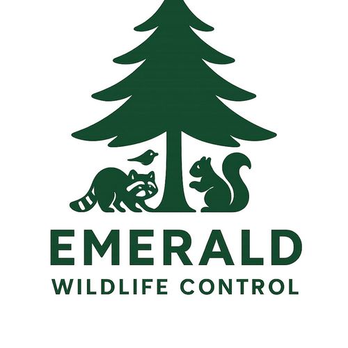 Emerald Wildlife Control