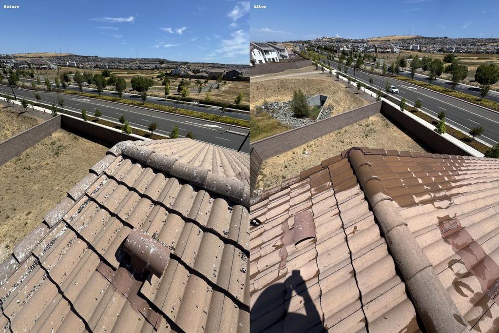 Professional cleaning of bird droppings on roof ti