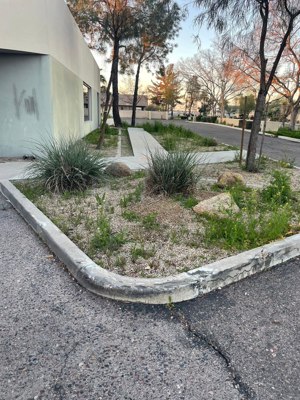 Clean up before