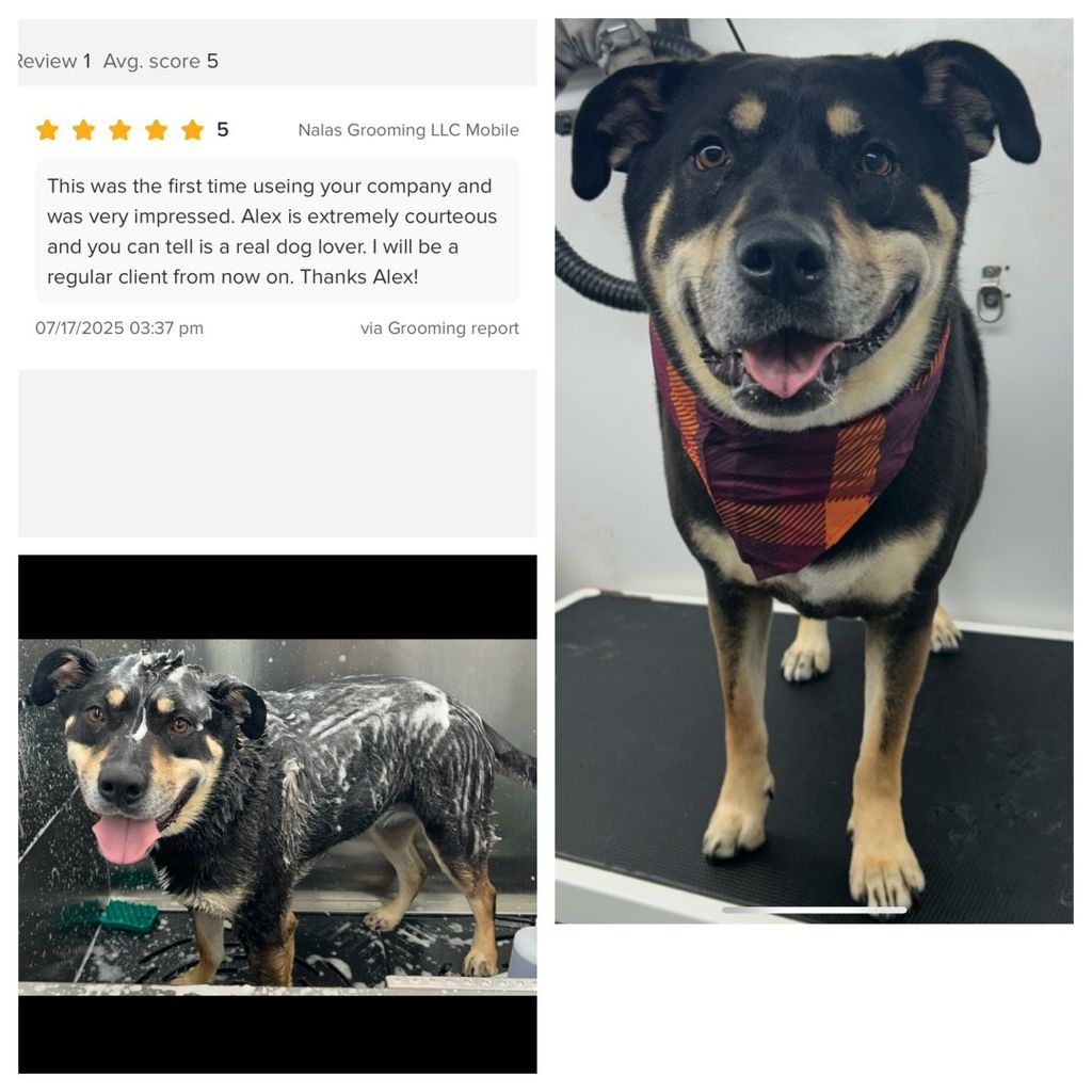 Review from our customer 