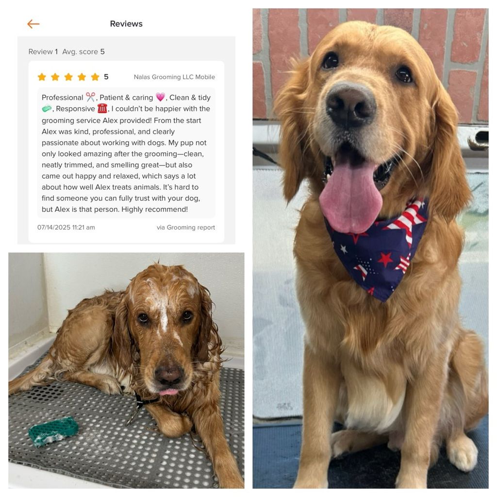 Review from our customer