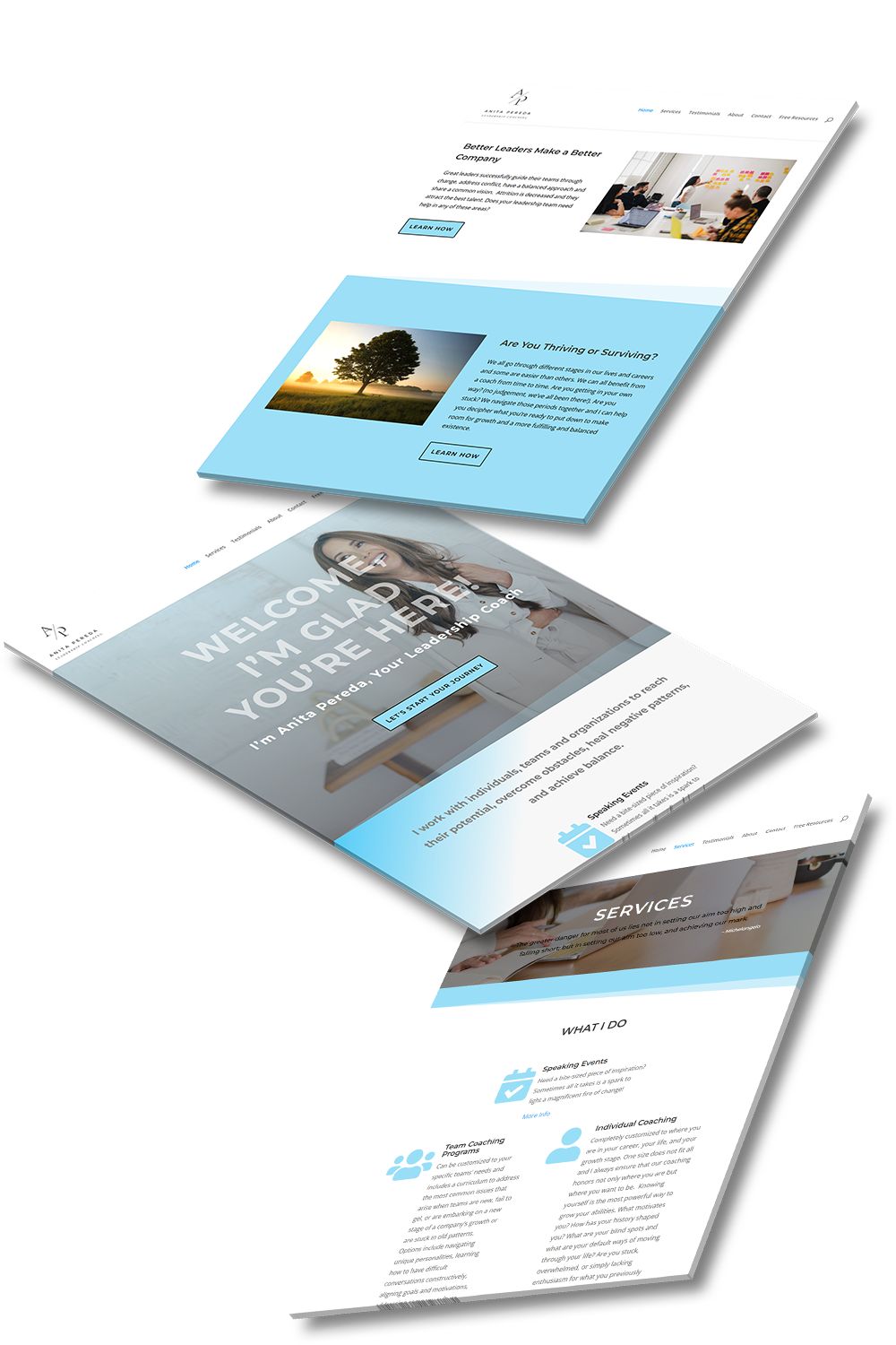 Projects and media