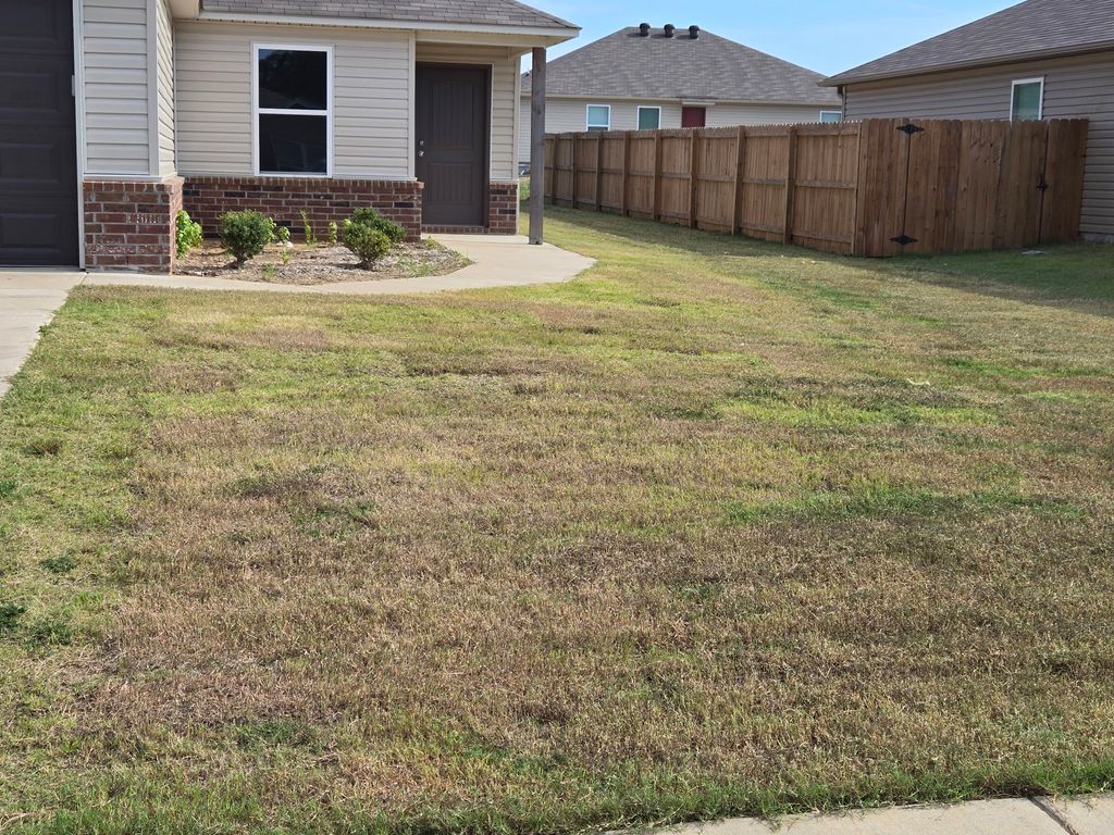 some yards we mowed 