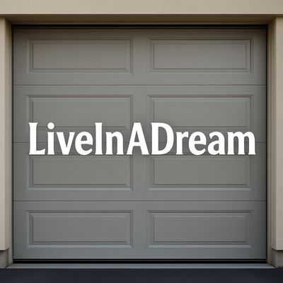 Avatar for LiveinADream