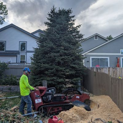 Avatar for J&H Tree Service Co LLC