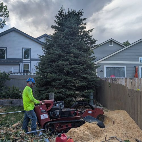 J&H Tree Service Co LLC Profile Picture