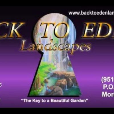 Avatar for Back To Eden Landscapes