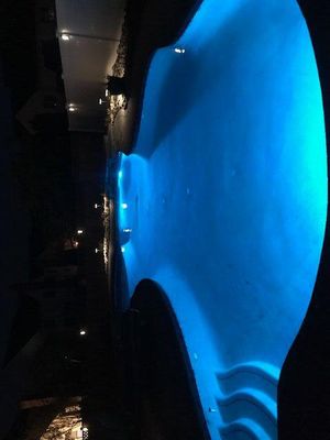 Avatar for Leisure pools