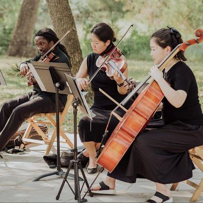 Avatar for The Noble Strings