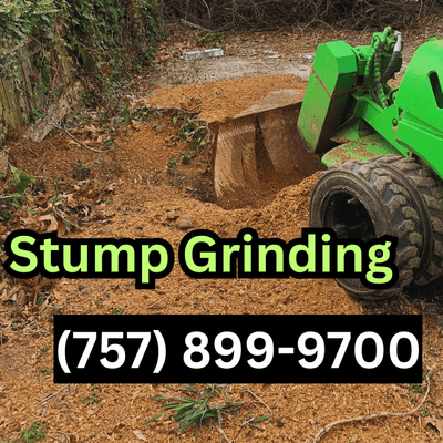 Avatar for Tree Stump Removal and Excavation