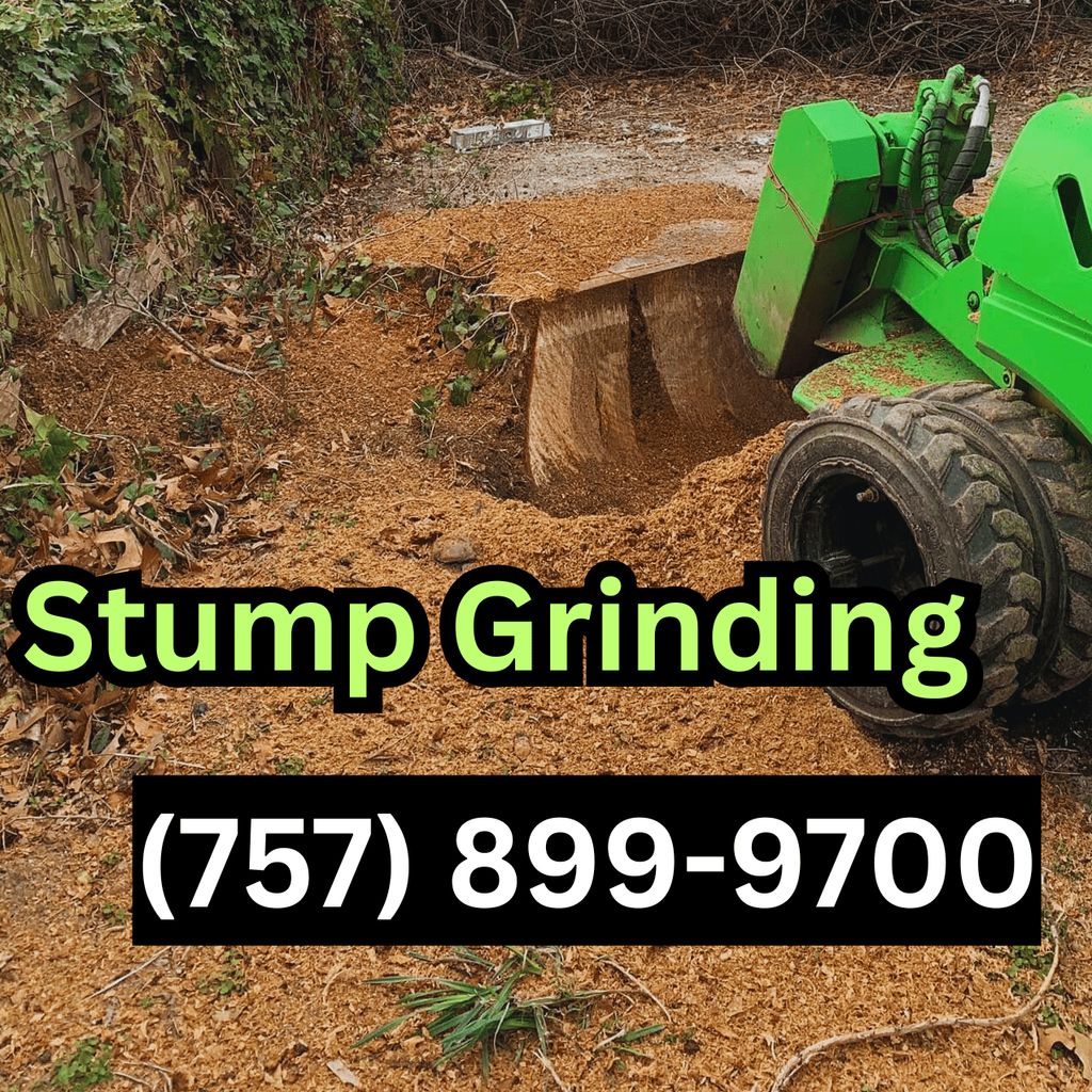 Tree Stump Removal and Excavation
