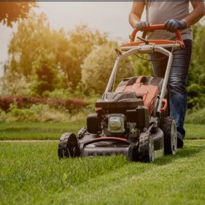 Avatar for Need A Cut landscaping