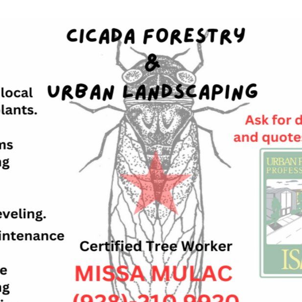 CICADA URBAN FORESTRY & LANDSCAPING