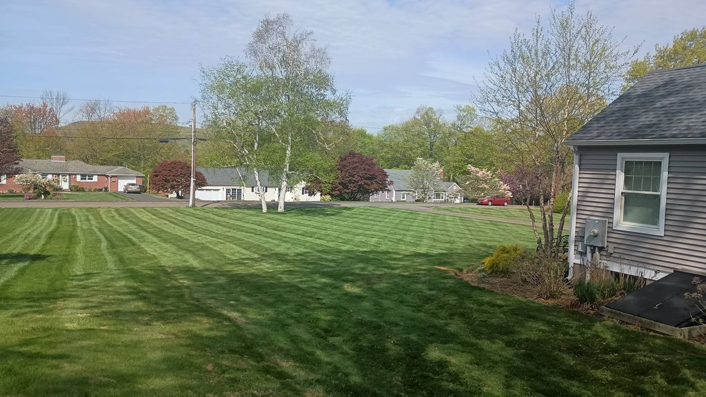 Spring Lawn Mowing