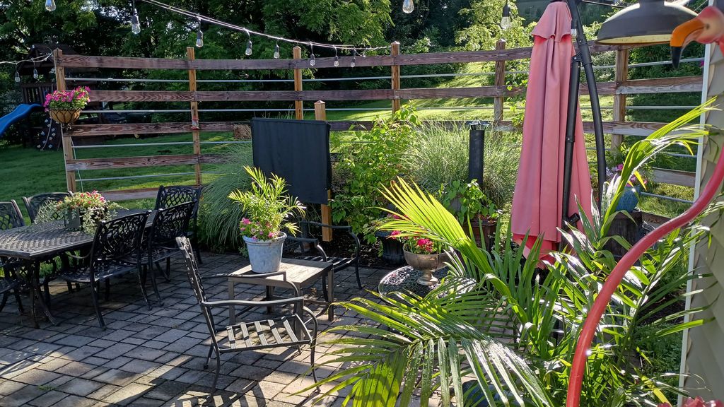Early June plantings