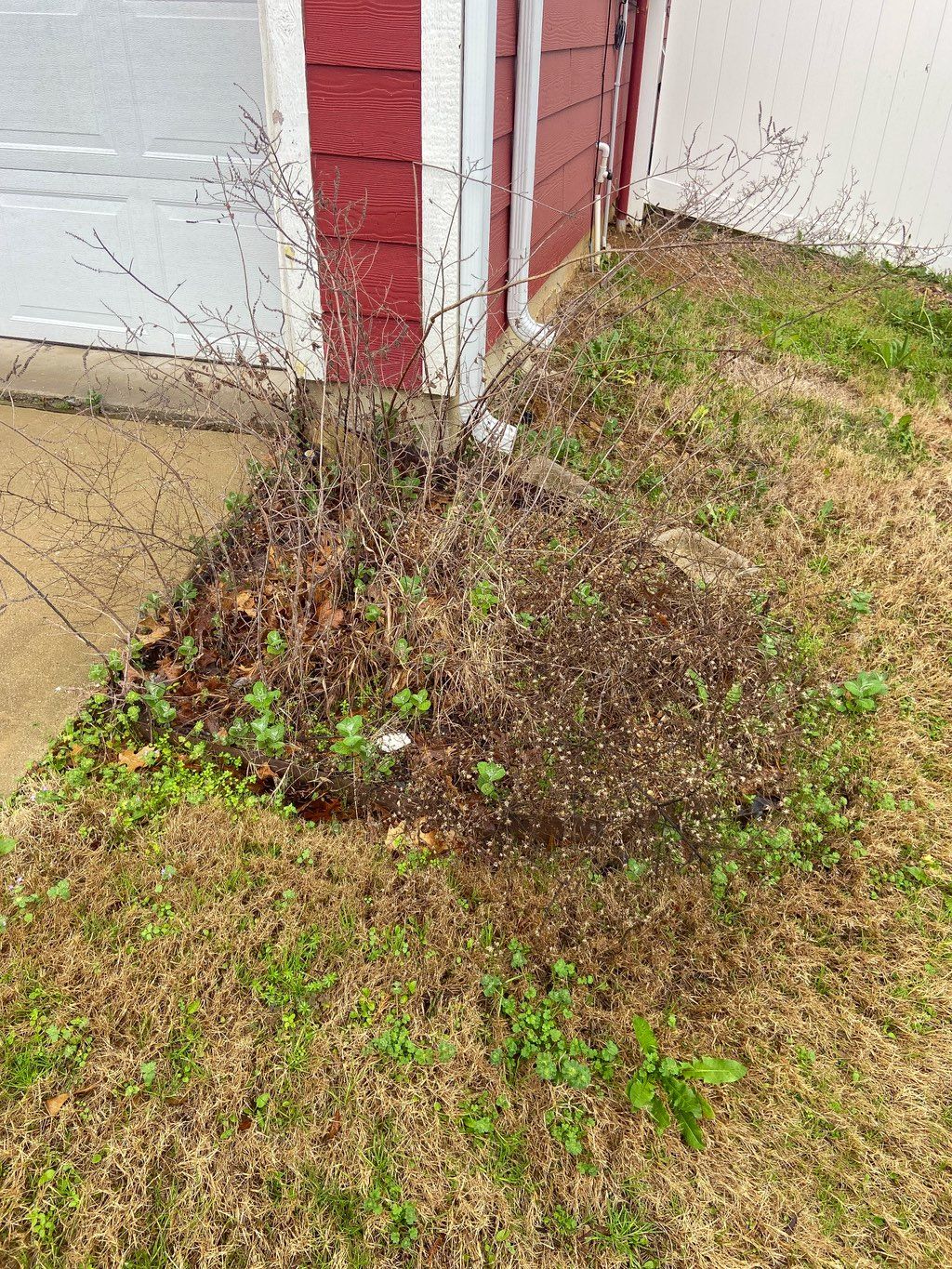 BEFORE: