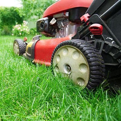 Avatar for Conversion Lawncare, LLC