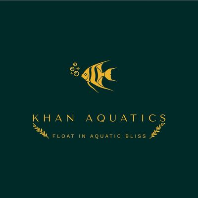 Avatar for Khan Aquatics NY