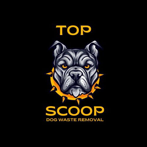 Top Scoop
