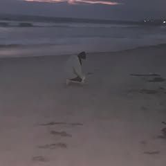 pro avatar