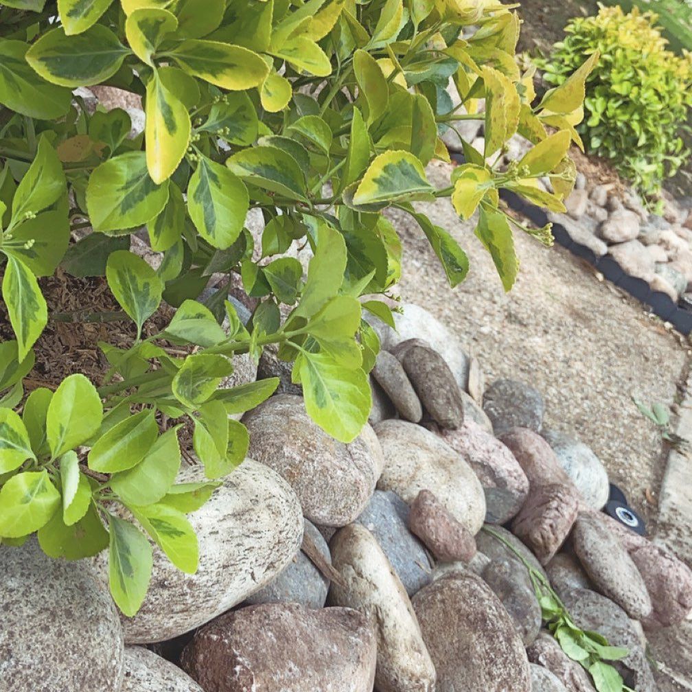Observe Interpret Apply Landscaping
