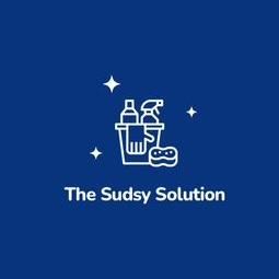 Avatar for The Sudsy Solution