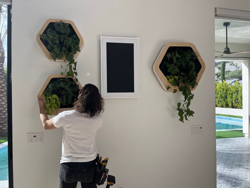 Projects and media