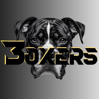 Boxers Moving LLC