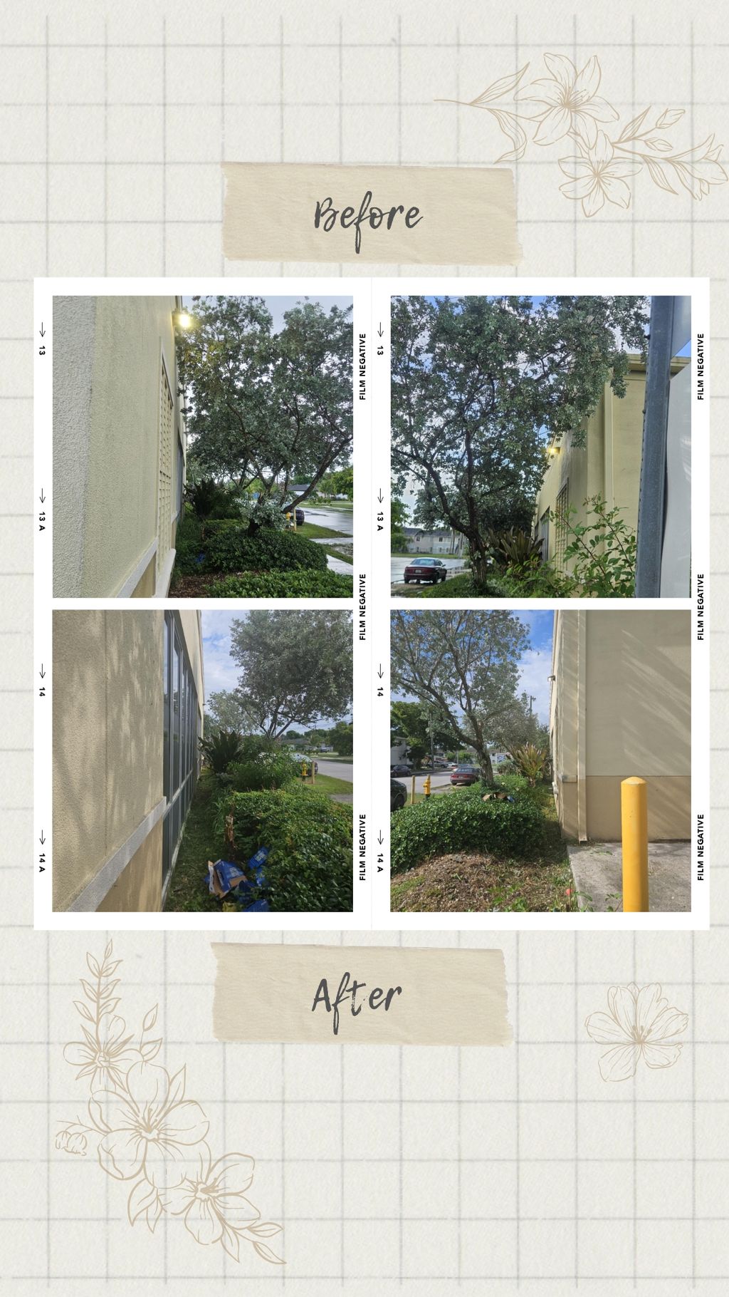 outdoor clean up